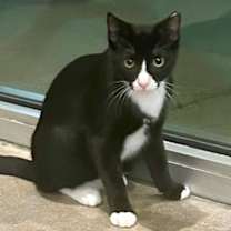 Thumbnail photo of Sammi #1