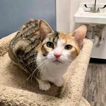 Thumbnail photo of Marva #3