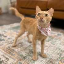 Thumbnail photo of Sabine Davey #1