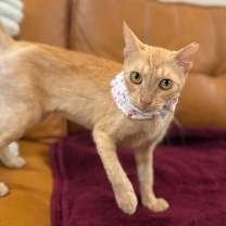 Thumbnail photo of Sabine Davey #4