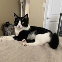 Thumbnail photo of Jax #3