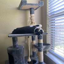 Thumbnail photo of Jax #4