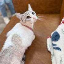 Thumbnail photo of Kitty Cruz #3