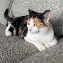 Thumbnail photo of Brandee #1