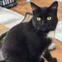 Thumbnail photo of Maya #1