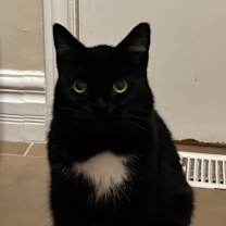 Thumbnail photo of Maya #2