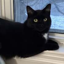 Thumbnail photo of Maya #3