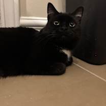 Thumbnail photo of Maya #4