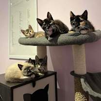 Thumbnail photo of Hoisin  #2