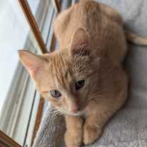 Thumbnail photo of Armageddon #3