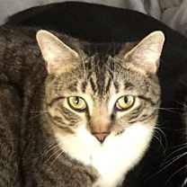 Thumbnail photo of Rosie #1