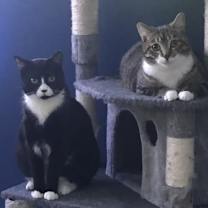 Thumbnail photo of Rosie #3