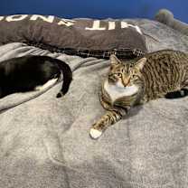 Thumbnail photo of Rosie #4