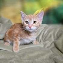 Thumbnail photo of Ms Otterton #2