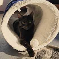 Thumbnail photo of Luna #3