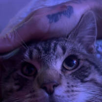 Thumbnail photo of Burger #3