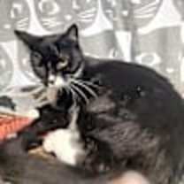 Thumbnail photo of Madison #4