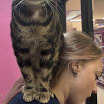 Thumbnail photo of Martin #1