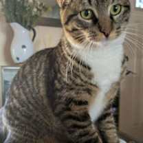 Thumbnail photo of Itzie Bitzie #1