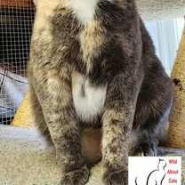 Thumbnail photo of Bobbie Sue #2