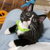 Thumbnail photo of Stomp #3