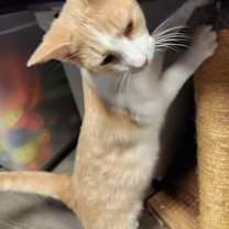 Thumbnail photo of Denver #2