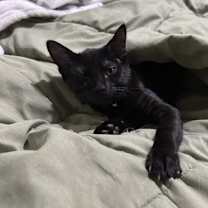 Thumbnail photo of Zuko #2