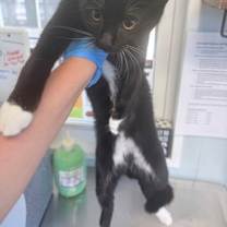 Thumbnail photo of Tiny Dancer #3