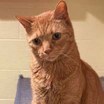 Thumbnail photo of Race (LE) #1