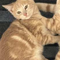 Thumbnail photo of Bob #1