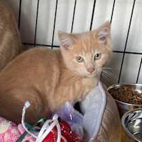 Thumbnail photo of Bob #3