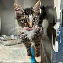 Thumbnail photo of Winter Frost #1