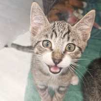 Thumbnail photo of Rain #1