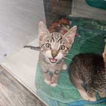 Thumbnail photo of Rain #3