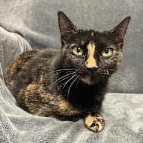 Thumbnail photo of Charity #2