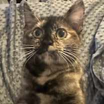 Thumbnail photo of Fiona #2