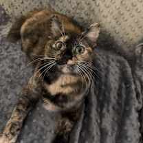 Thumbnail photo of Fiona #4