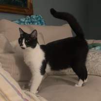 Thumbnail photo of Sarah #1