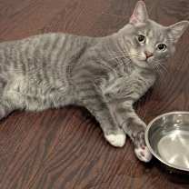 Thumbnail photo of Basil Hawkins #3