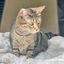 Thumbnail photo of Dorothy #4