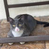 Thumbnail photo of Glenda #3