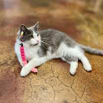 Thumbnail photo of Timmy Miller #2