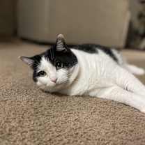 Thumbnail photo of Seesaw #2