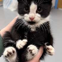 Thumbnail photo of Ivan #1