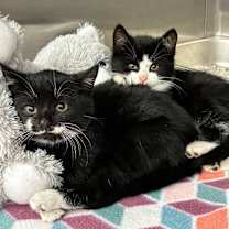 Thumbnail photo of Ivan #2