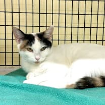 Thumbnail photo of FiFi #3