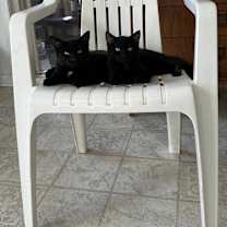 Thumbnail photo of Uncle Fester & Pugsley #2