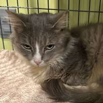 Thumbnail photo of Bree #2