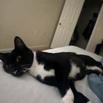 Thumbnail photo of Ally #3