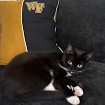 Thumbnail photo of Ally #4